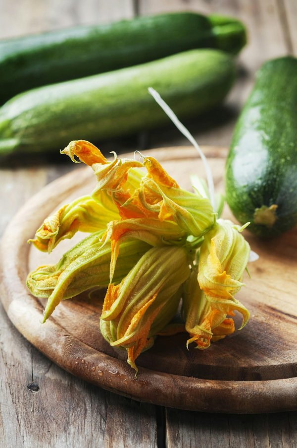 Quelles sont les meilleures recettes de plats de courgettes pour un repas faible en calories?